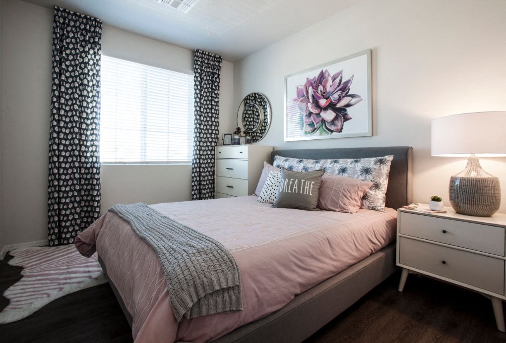 San Vicente Townhomes photo 3